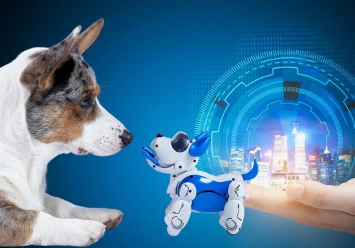 How Mind–Body Wellness Extends to Your Pets: The Rise of Holistic Pet Resorts